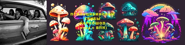 прущие грибы Верея