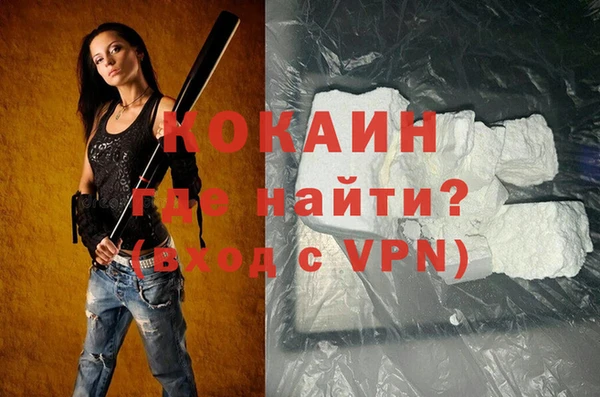 прущие грибы Верея